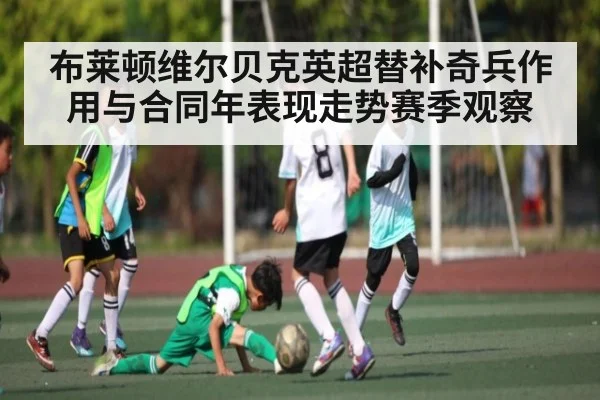 布莱顿维尔贝克英超替补奇兵作用与合同年表现走势赛季观察